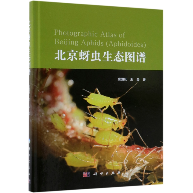 北京蚜蟲生態圖譜(精