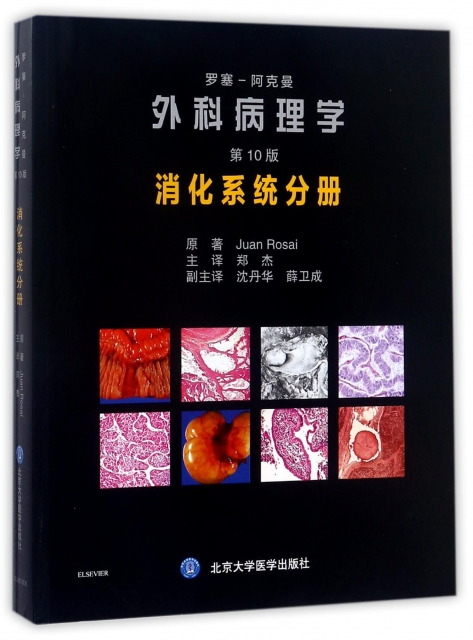 羅塞-阿克曼外科病理學(消化繫統分冊第10版)