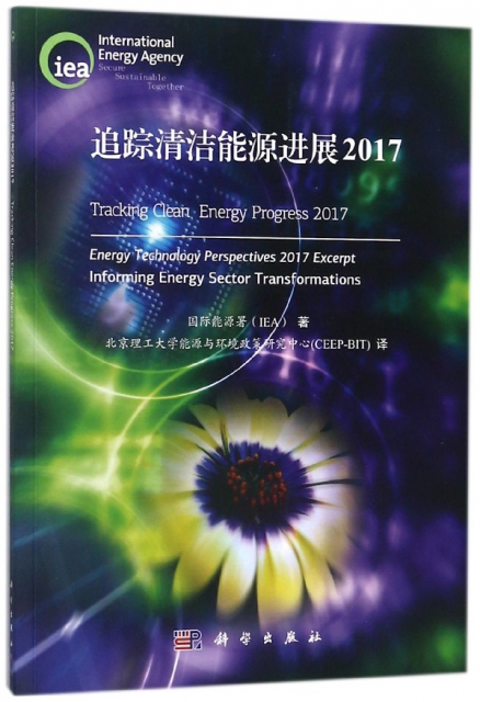 追蹤清潔能源進展(2017)