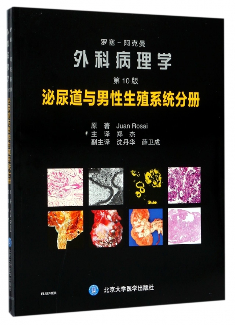羅塞-阿克曼外科病理學(泌尿道與男性生殖繫統分冊第10版)