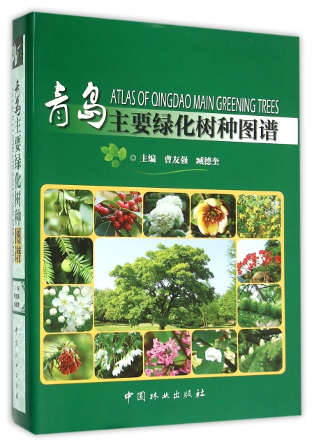 青島主要綠化樹種圖譜