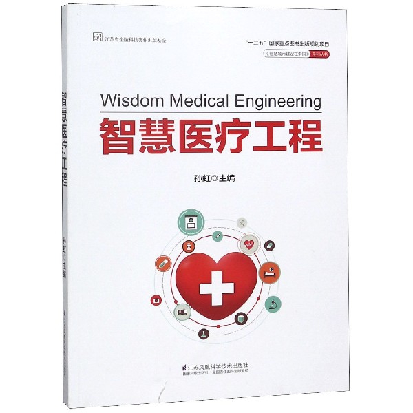 智慧醫療工程/智慧城市建設在中國繫列叢書
