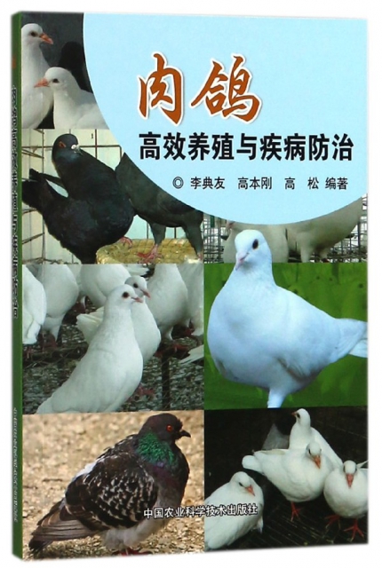 肉鴿高效養殖與疾病防治
