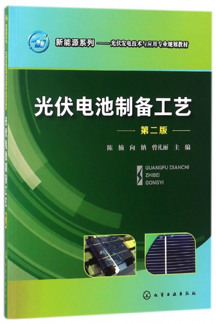光伏電池制備工藝(第2版光伏發電技術與應用專業規劃教材)/新能源繫列