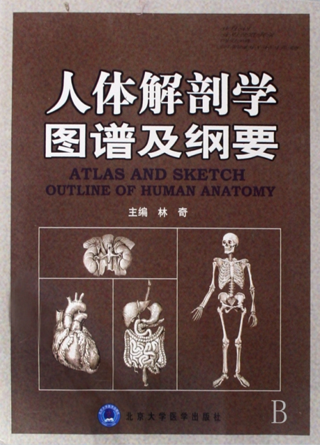 人體解剖學圖譜及綱要