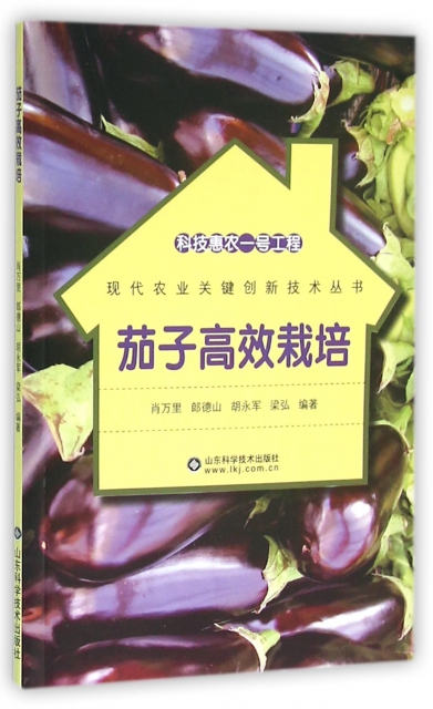 茄子高效栽培/現代農業關鍵創新技術叢書