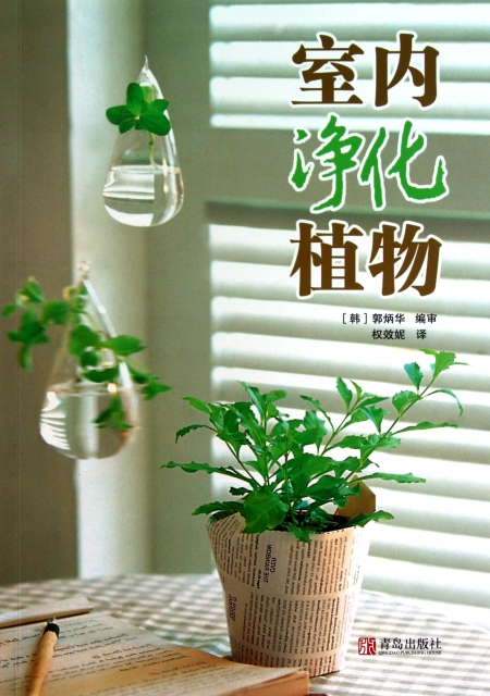 室內淨化植物