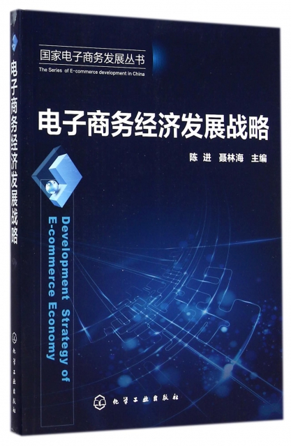 電子商務經濟發展戰略/國家電子商務發展叢書