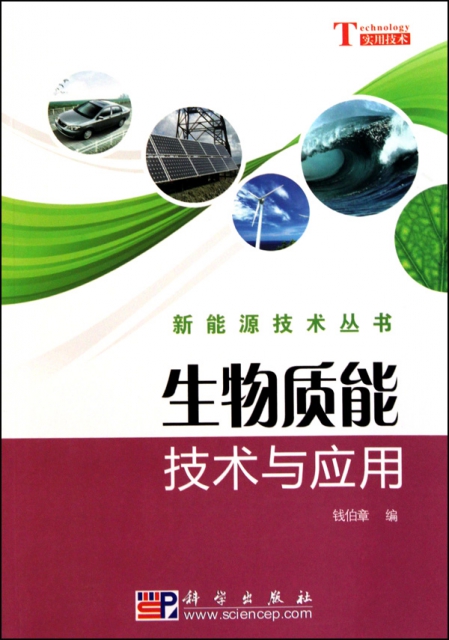 生物質能技術與應用/新能源技術叢書