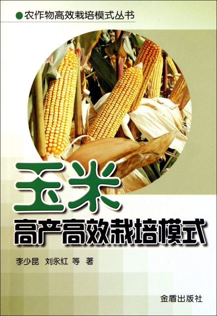 玉米高產高效栽培模式/農作物高效栽培模式叢書