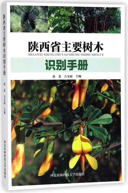 陝西省主要樹木識別手冊