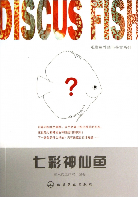 七彩神仙魚/觀賞魚養