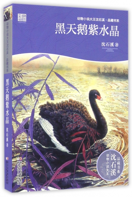 黑天鵝紫水晶(彩色插圖本)/動物小說大王瀋石溪品藏書繫
