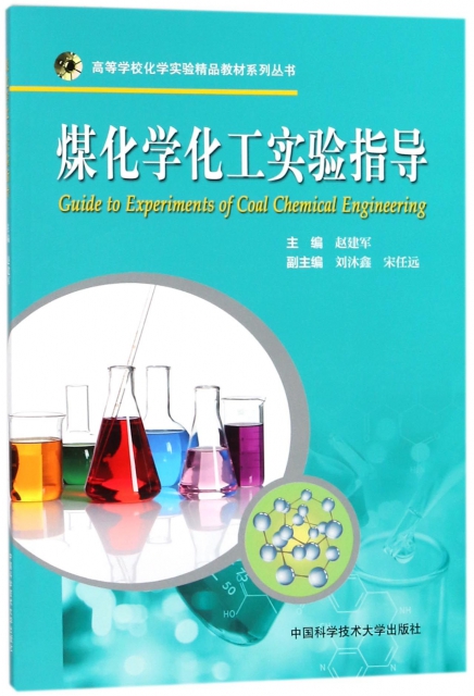 煤化學化工實驗指導/高等學校化學實驗精品教材繫列叢書