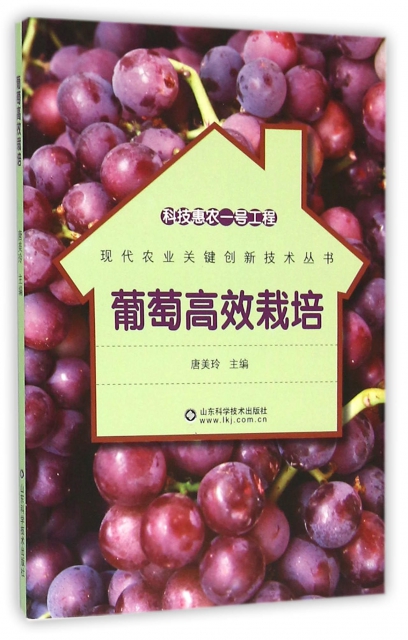 葡萄高效栽培/現代農業關鍵創新技術叢書