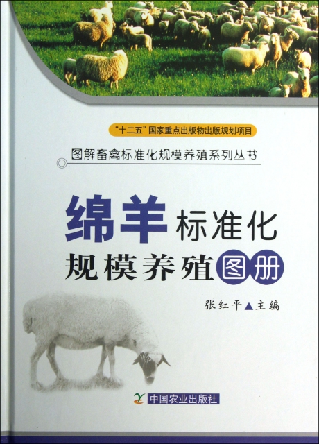 綿羊標準化規模養殖圖
