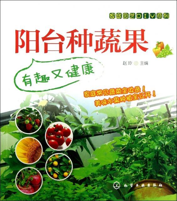 陽臺種蔬果(有趣又健康)/家庭園藝DIY繫列
