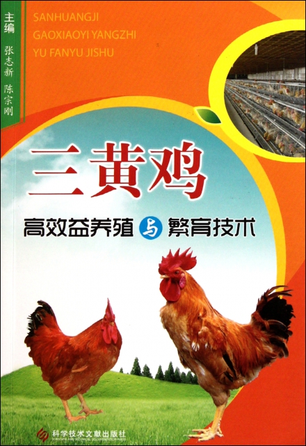 三黃雞高效益養殖與繁育技術