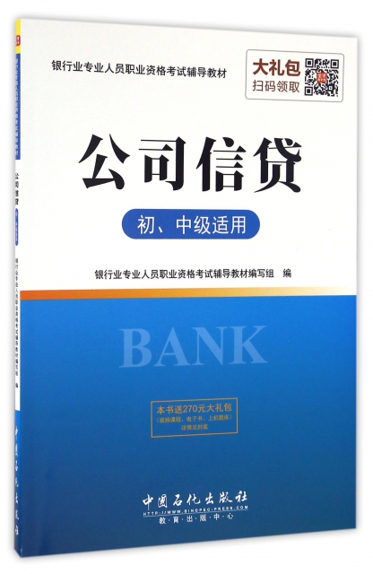 公司信貸(初中級適用銀行業專業人員職業資格考試輔導教材)