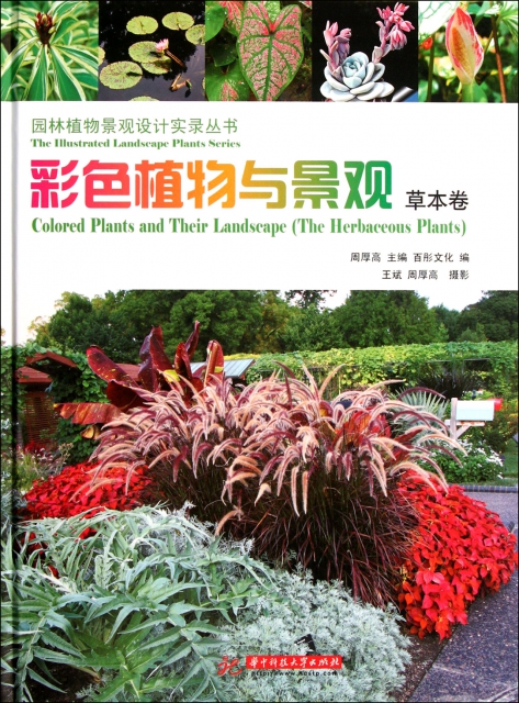 彩色植物與景觀(草本卷)(精)/園林植物景觀設計實錄叢書