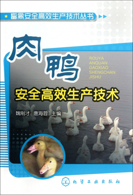 肉鴨安全高效生產技術/畜禽安全高效生產技術叢書