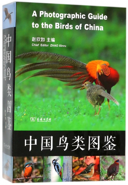 中國鳥類圖鋻
