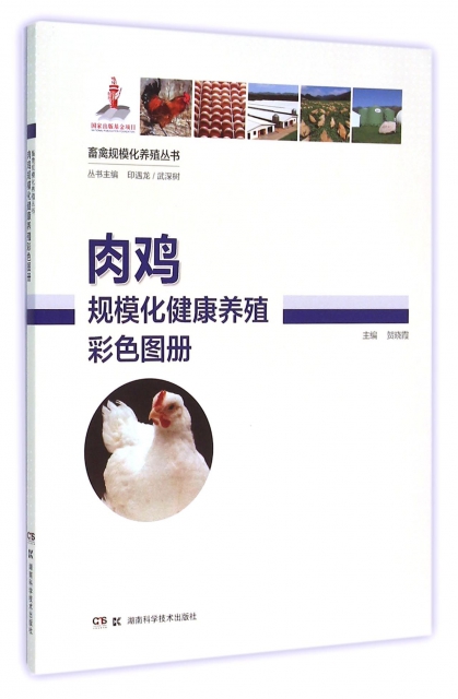 肉雞規模化健康養殖彩色圖冊/畜禽規模化養殖叢書