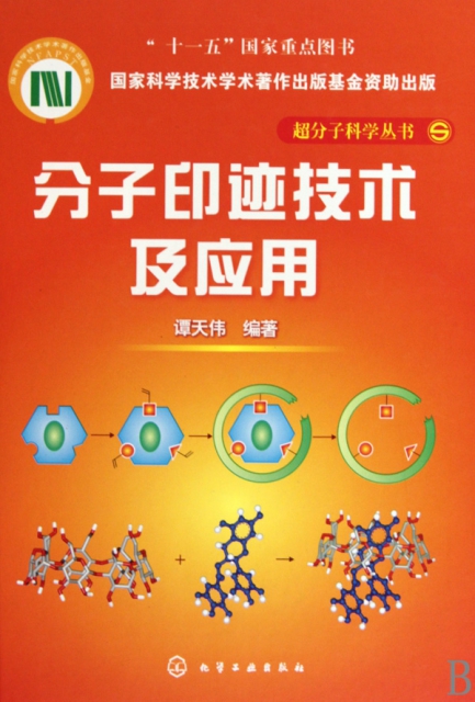 分子印跡技術及應用(精)/超分子科學叢書