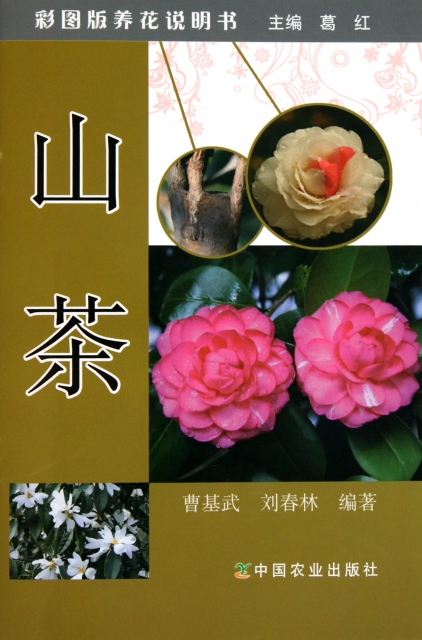 山茶/彩圖版養花說明
