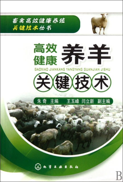 高效健康養羊關鍵技術/畜禽高效健康養殖關鍵技術叢書