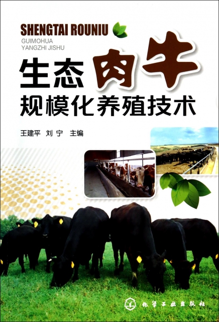 生態肉牛規模化養殖技