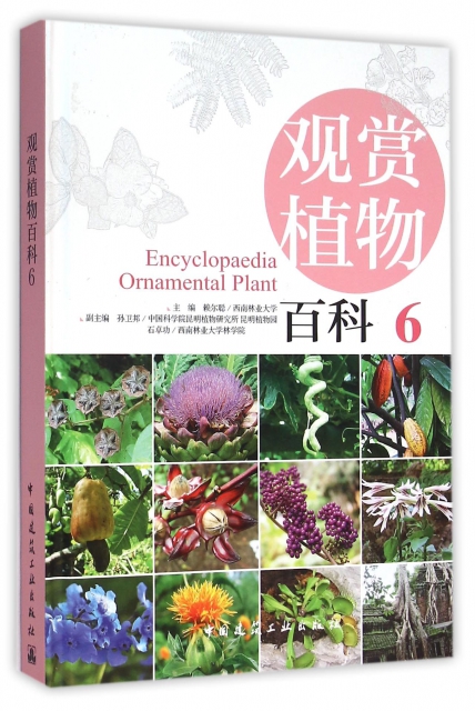 觀賞植物百科(6)(