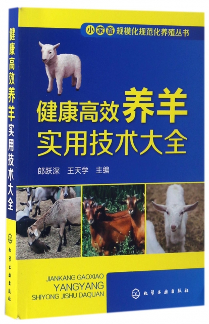健康高效養羊實用技術大全/小家畜規模化規範化養殖叢書