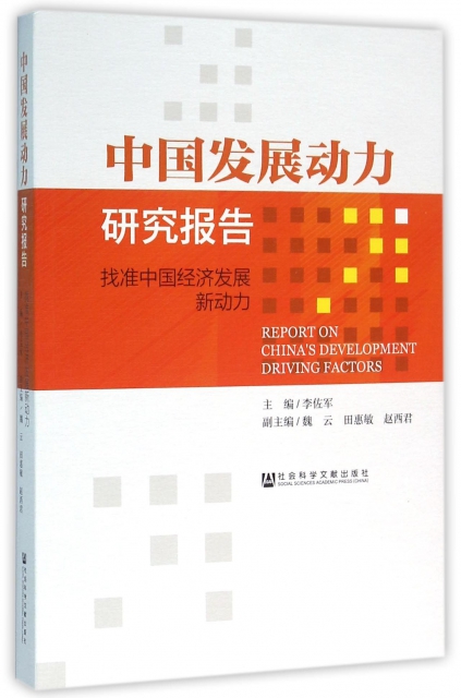 中國發展動力研究報告