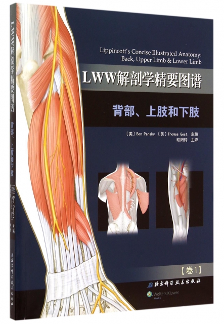 LWW解剖學精要圖譜(背部上肢和下肢卷1)