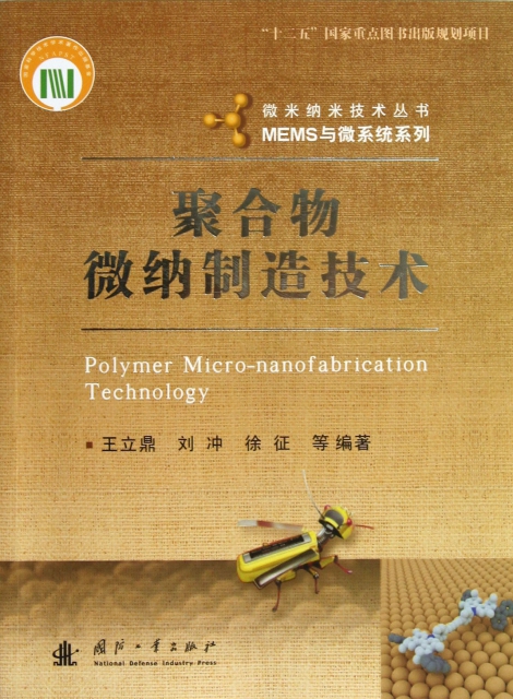 聚合物微納制造技術/MEMS與微繫統繫列/微米納米技術叢書