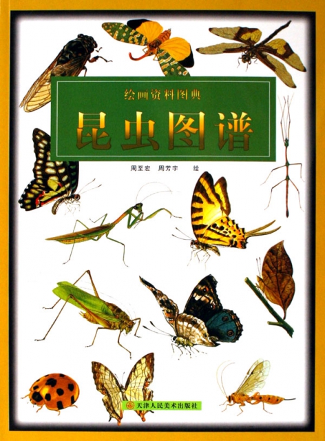 昆蟲圖譜(繪畫資料圖典)
