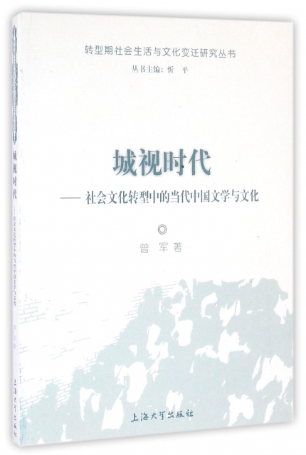 城視時代--社會文化轉型中的當代中國文學與文化/轉型期社會生活與文化變遷研究叢書