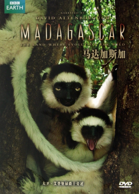 DVD馬達加斯加(2碟裝)