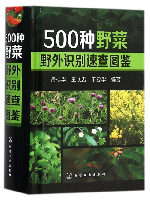 500種野菜野外識別速查圖鋻(精)