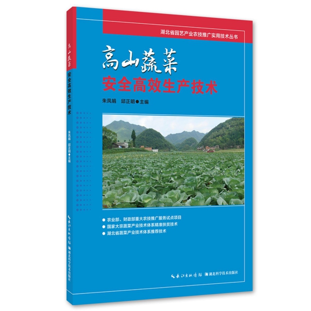高山蔬菜安全高效生產技術/湖北省園藝產業農技推廣實用技術叢書