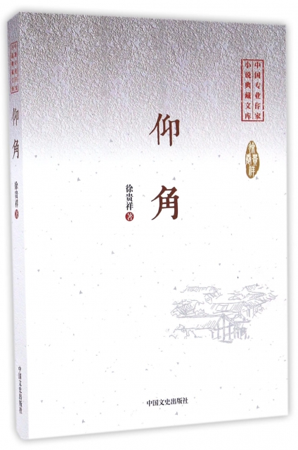 仰角/中國專業作家小說典藏文庫