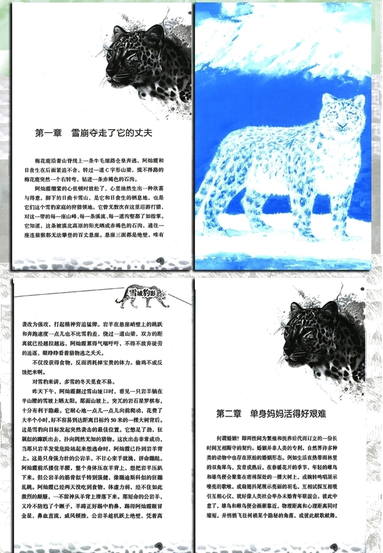 1470904273487984.jpg