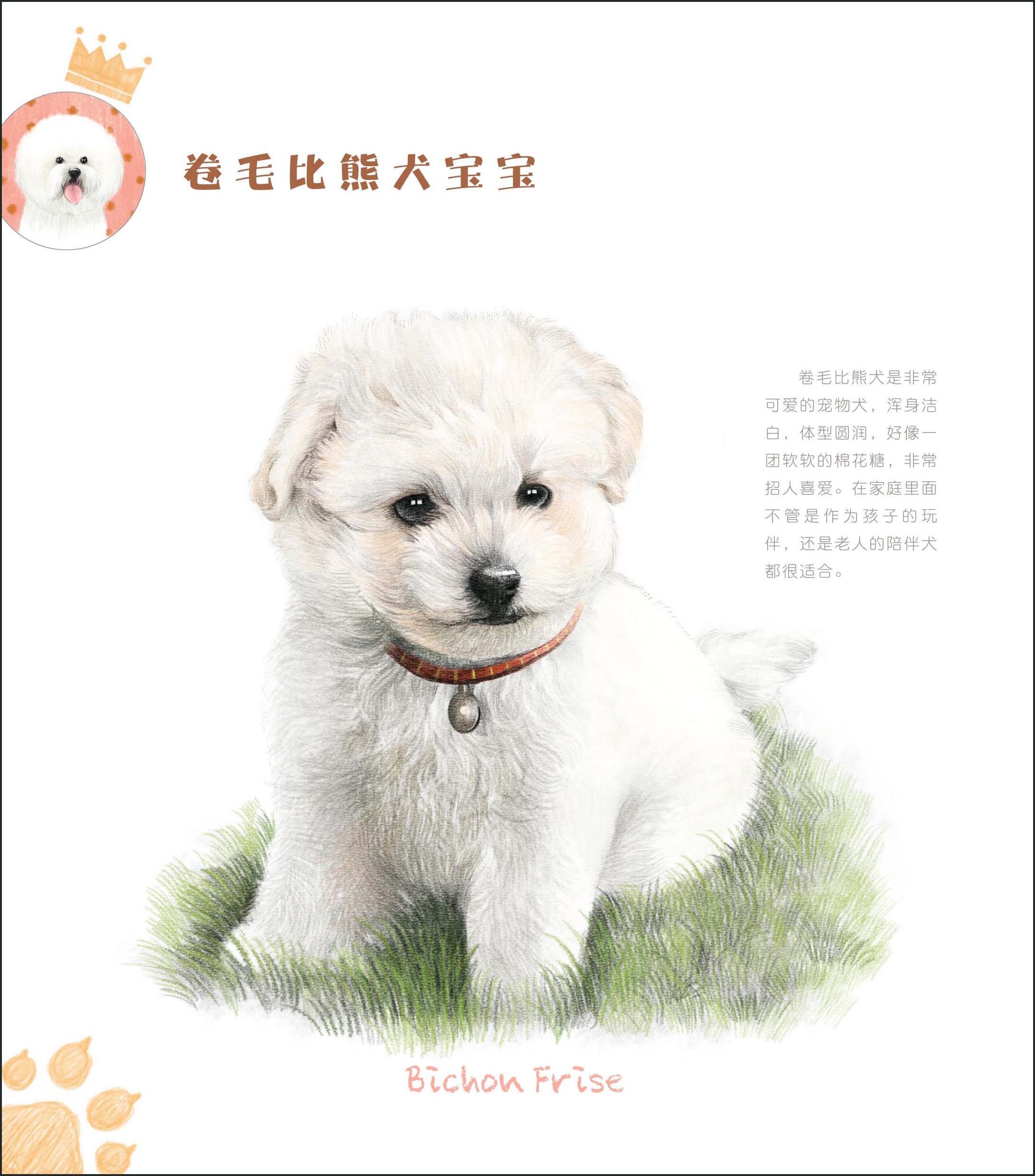 狗狗绘(33只萌犬的色铅笔图绘)